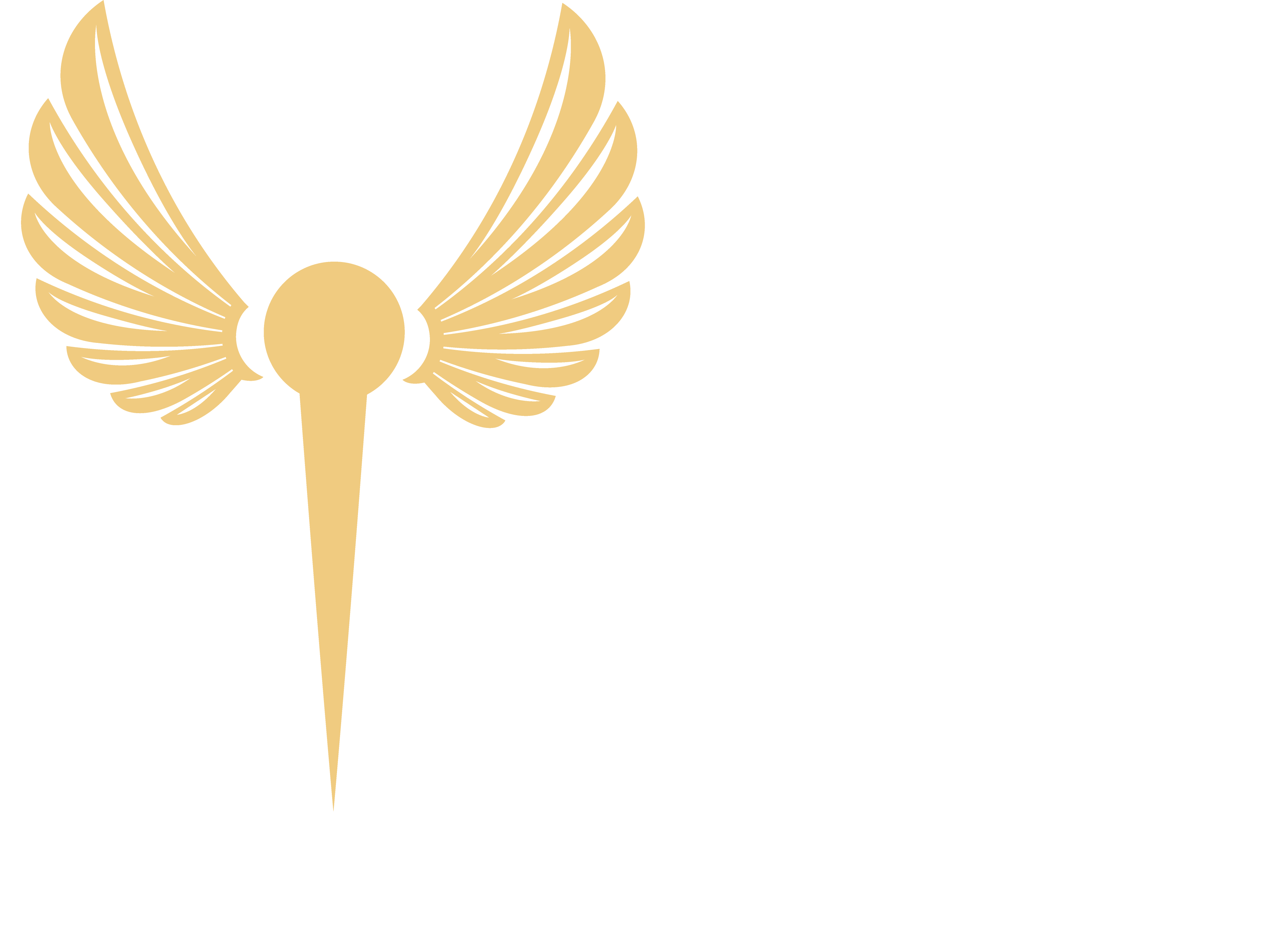 Centro Holístico Binah